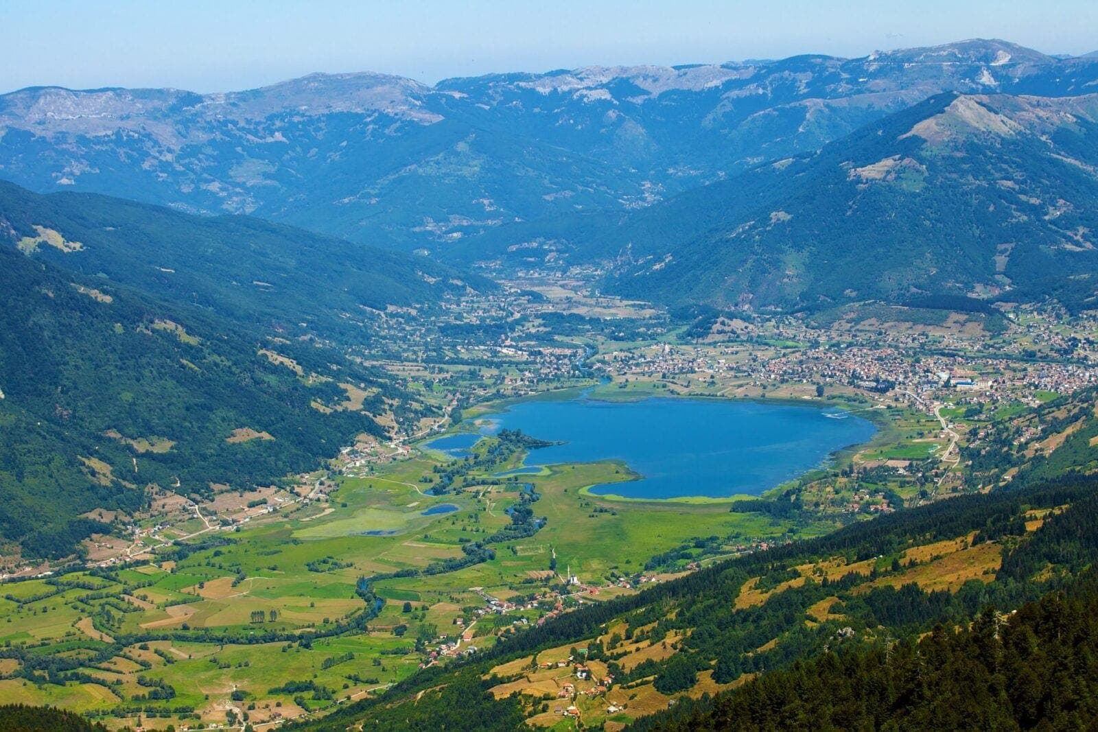 Plav